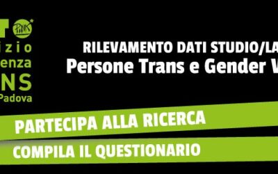 Rilevamento dati studio/lavoro per persone trans e gender variant